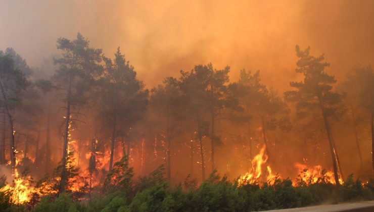 154 orman yangınının 146’sı kontrol altına alındı