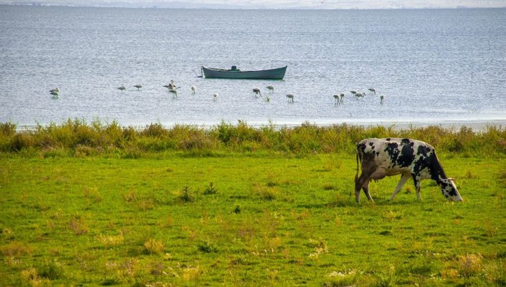 Balıkesir, Bolu ve Giresun’daki doğal sit alanları ‘kesin korunacak hassas alan’ ilan edildi