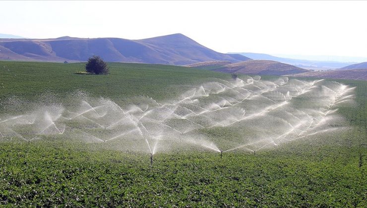 Sivas’ta topraklar suya kavuşunca çiftçilerin yüzü güldü