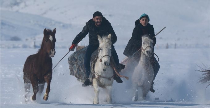 Yarışlara hazırladıkları atlarla kar üstünde antrenman yapıyorlar